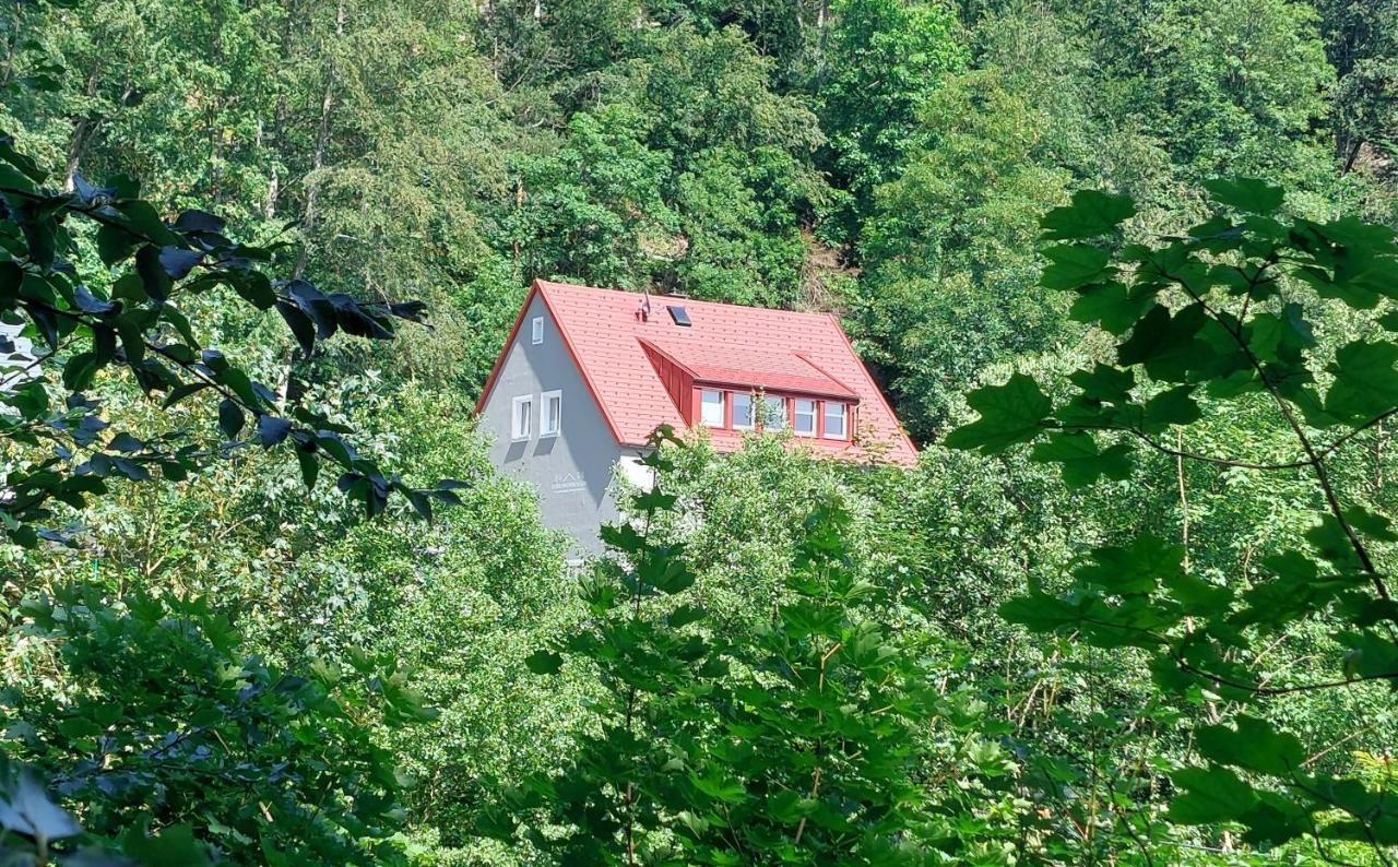 Apartamento Am Quellenhaeuschen Naila Exterior foto